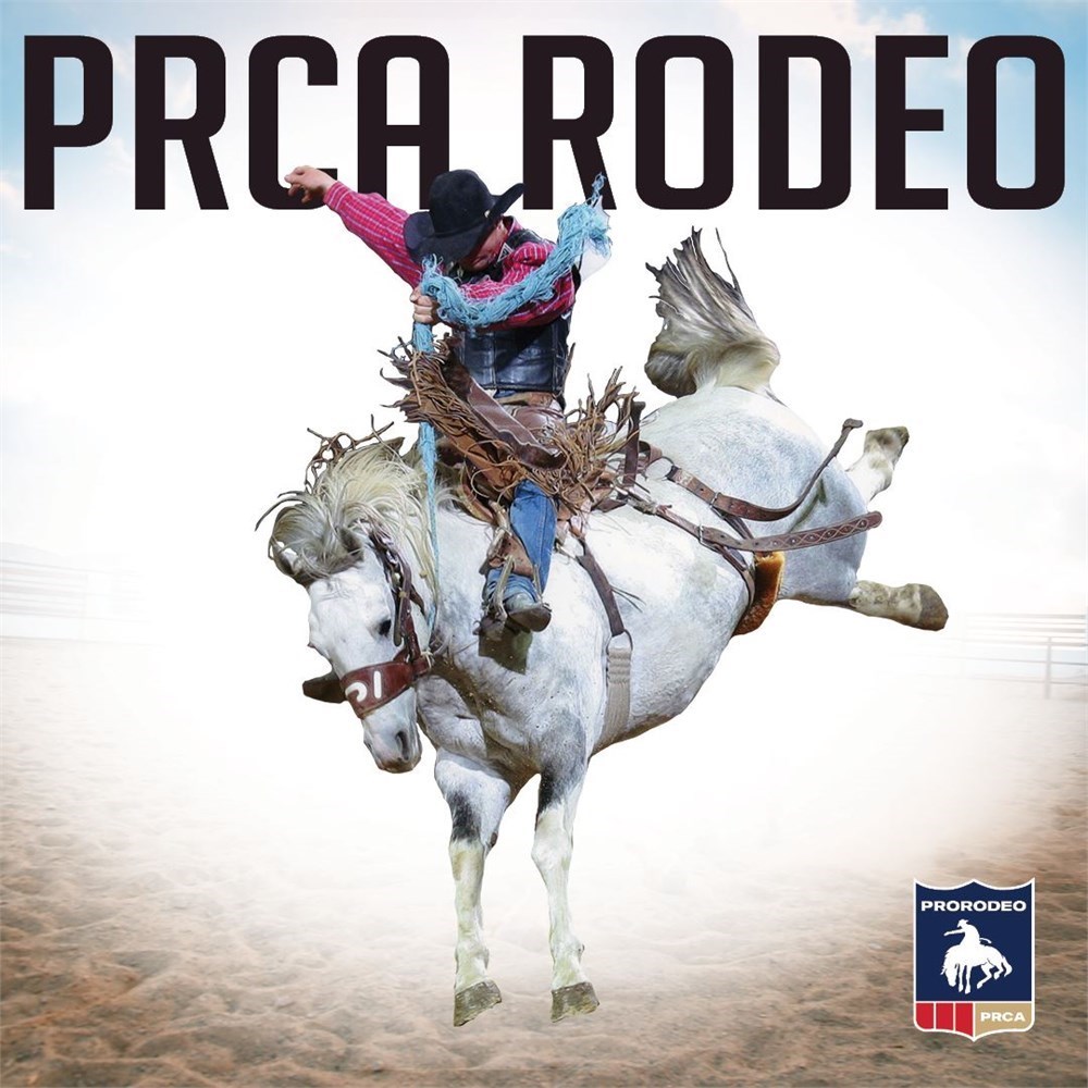 Wheeler Dealer Bismarck Event Center PRCA Rodeo March 19th Pair